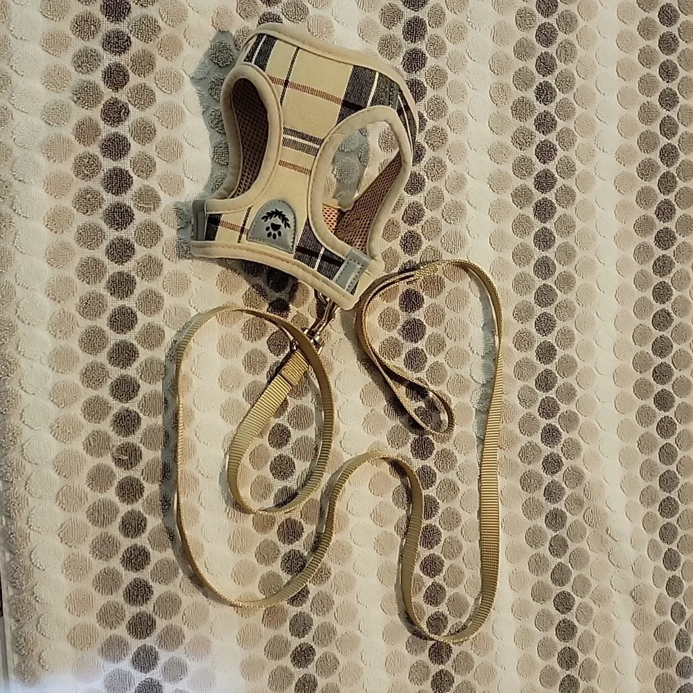 Cat leash